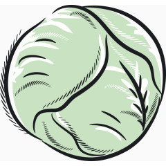 卡通蔬菜圆白菜素材