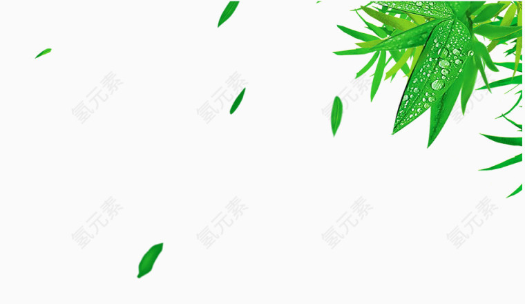 清新绿色竹子叶