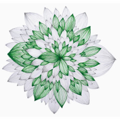 矢量手绘抽象花朵