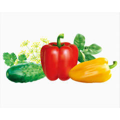 逼真的辣椒和黄瓜