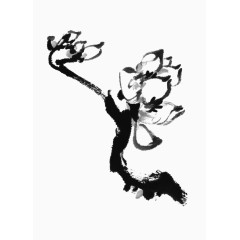 中国风水墨国画树枝花卉