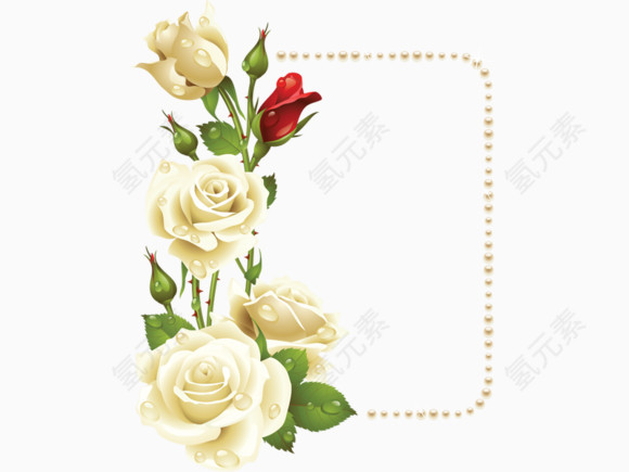 盛开玫瑰边框素材