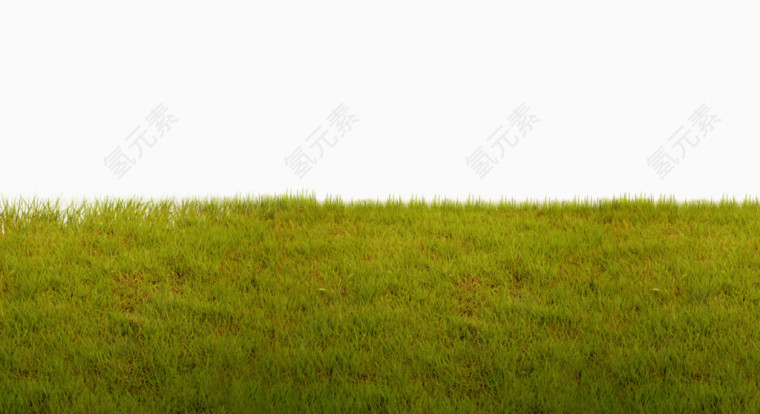 绿色草地免抠素材