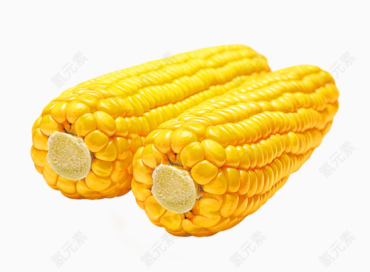 玉米