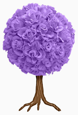 紫色玫瑰花树