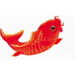 红色的鲤鱼