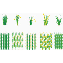 矢量图粮食种植
