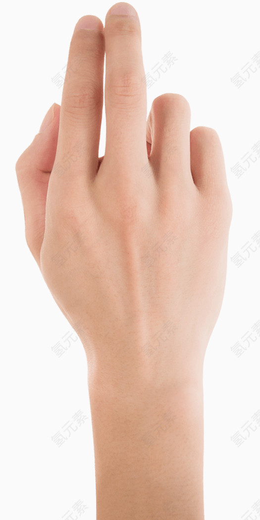 手指  手 人物  动作