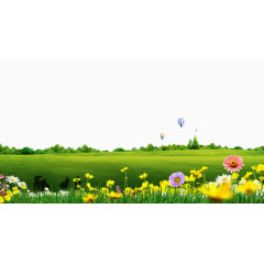 绿色植物花卉草坪