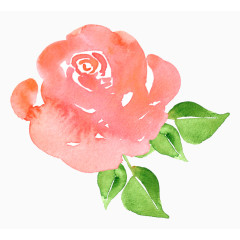 水彩玫瑰花