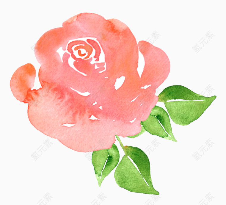 水彩玫瑰花