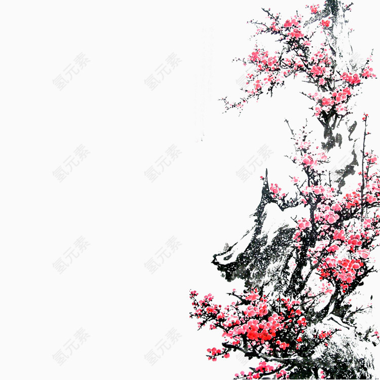 淡梅花