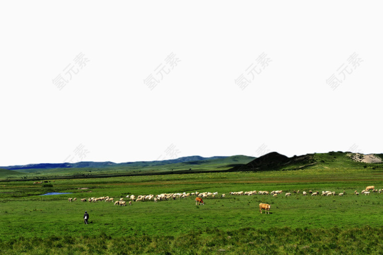呼伦贝尔大草原