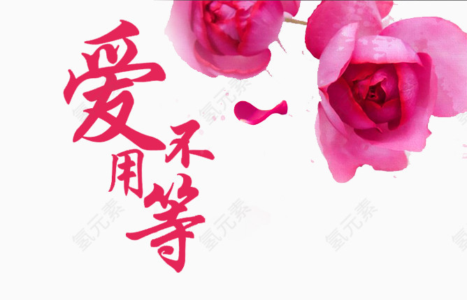 玫瑰花背景