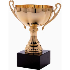 金色奖杯足球冠军杯体育奖杯