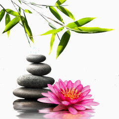 竹叶昙花禅石古风意境素材