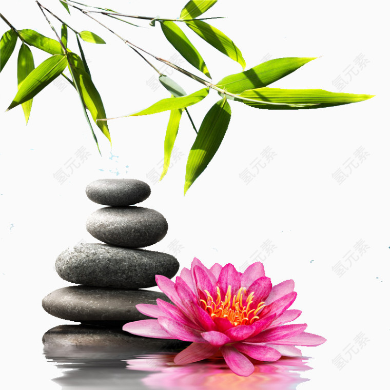 竹叶昙花禅石古风意境素材