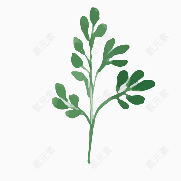 绿色水彩树叶素材