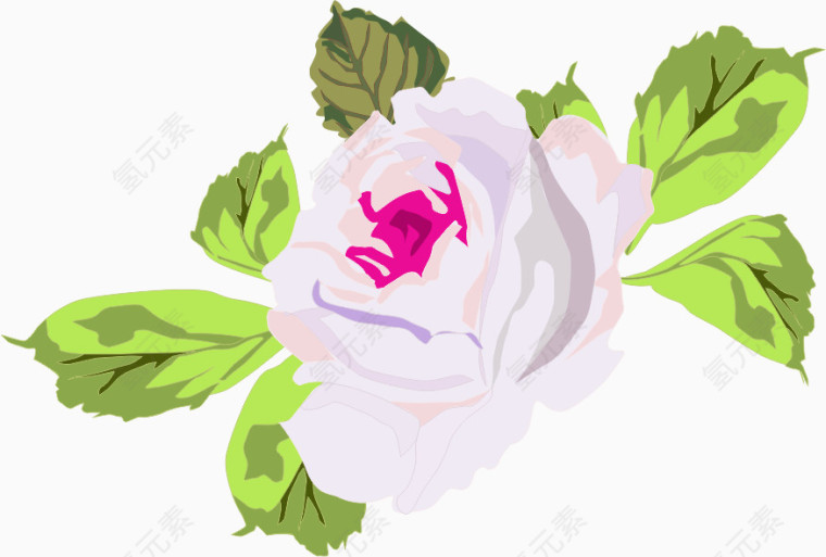 手绘花卉