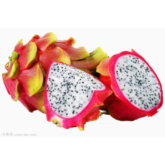 火龙果特写图片