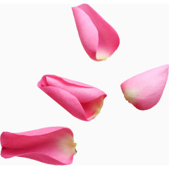 粉色花瓣