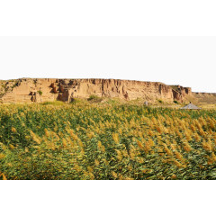 宁夏水洞沟古人类文化遗址十四