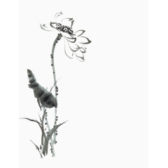 中国水墨元素 手绘 荷花