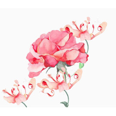 红色手绘水彩花