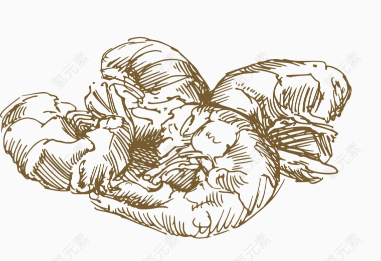 手绘虾仁