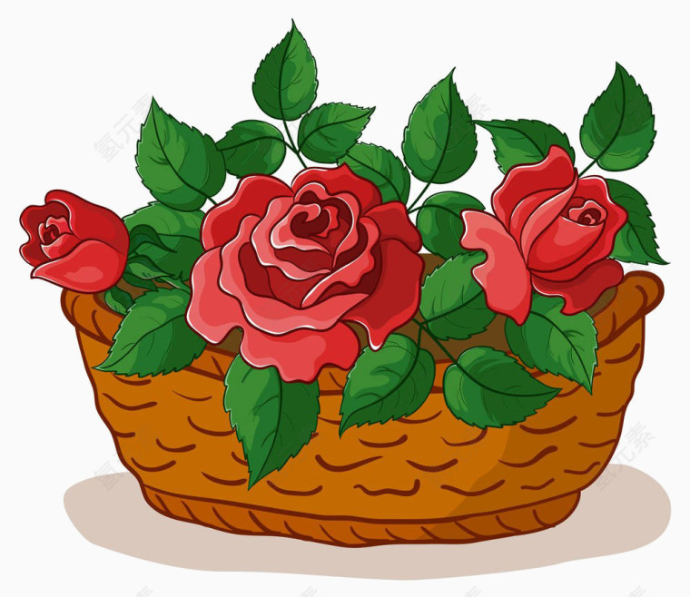 玫瑰花
