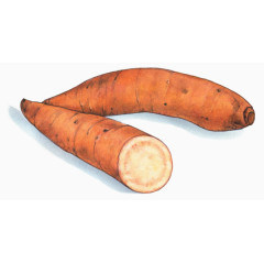 卡通红色番薯地瓜