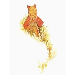 森林系图片森林系素材