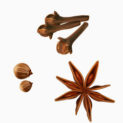 逼真手绘八角配料