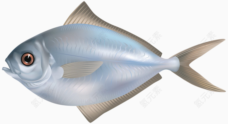 海洋生物