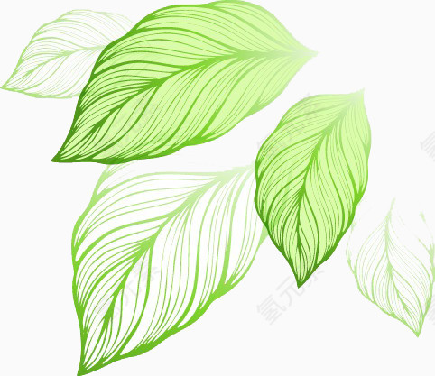手绘清新树叶