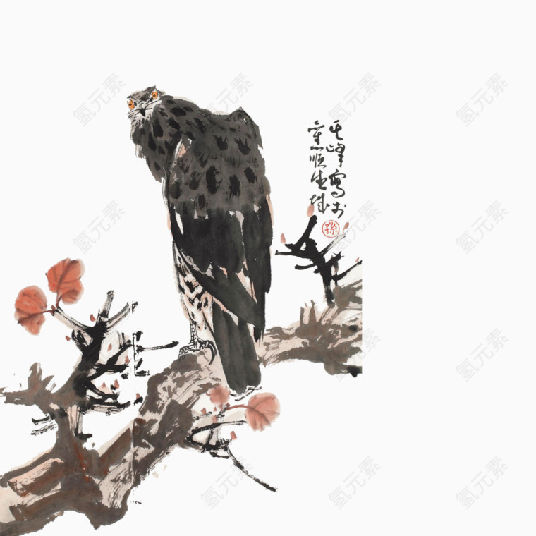 猫头鹰