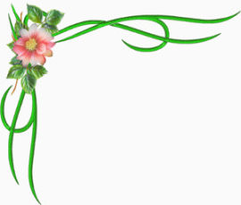 绿叶花朵边框