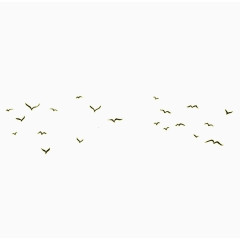 小鸟免抠png素材飞翔韵律