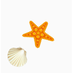 卡通手绘海星与贝壳png