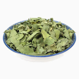 罗布麻茶叶