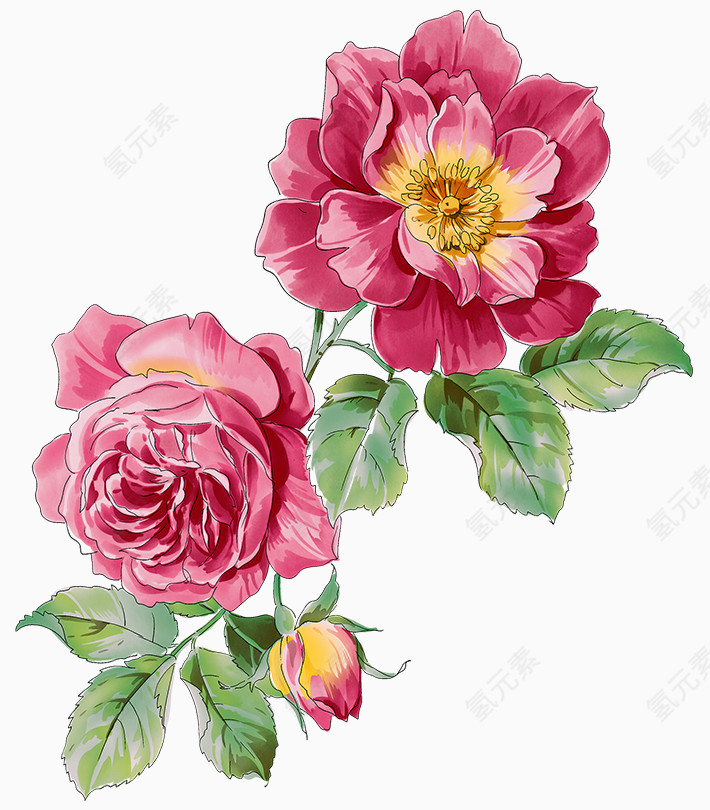 手绘水墨红色牡丹花