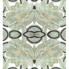 镂空花纹花纹底纹矢量图