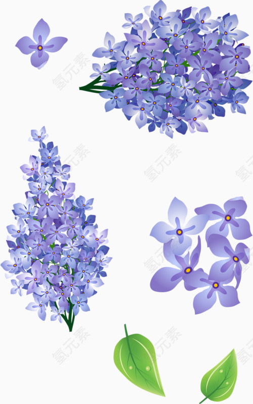 手绘紫色花朵