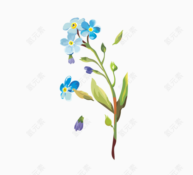 手绘花朵