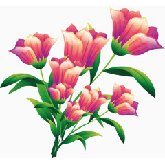 花纹