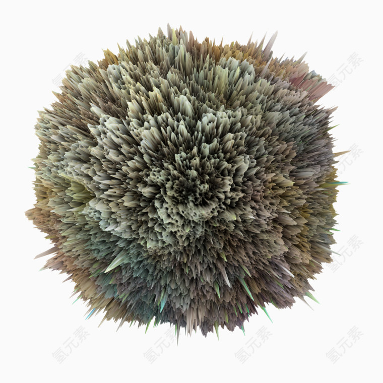 珊瑚
