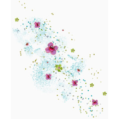 花卉插画庆典花卉