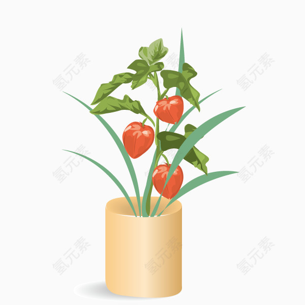 绿植盆栽摆设
