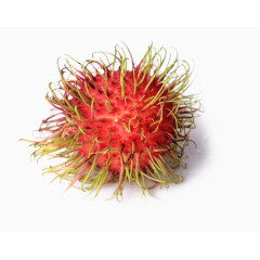 免抠素材红毛丹图片