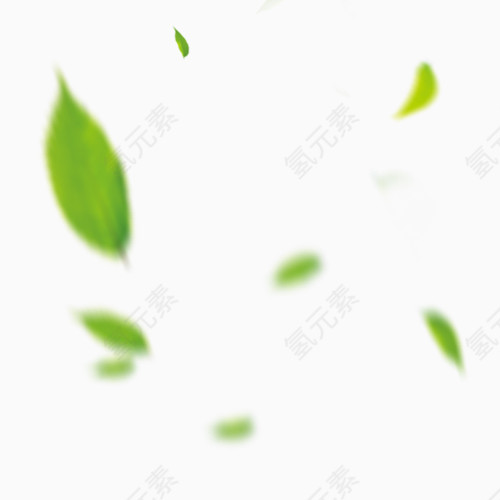 绿色树叶漂浮元素